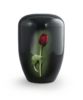 Fleur Noire Tulpe 
