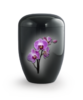 Fleur Noire Orchidee 