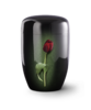 Fleur Noire Tulpe 